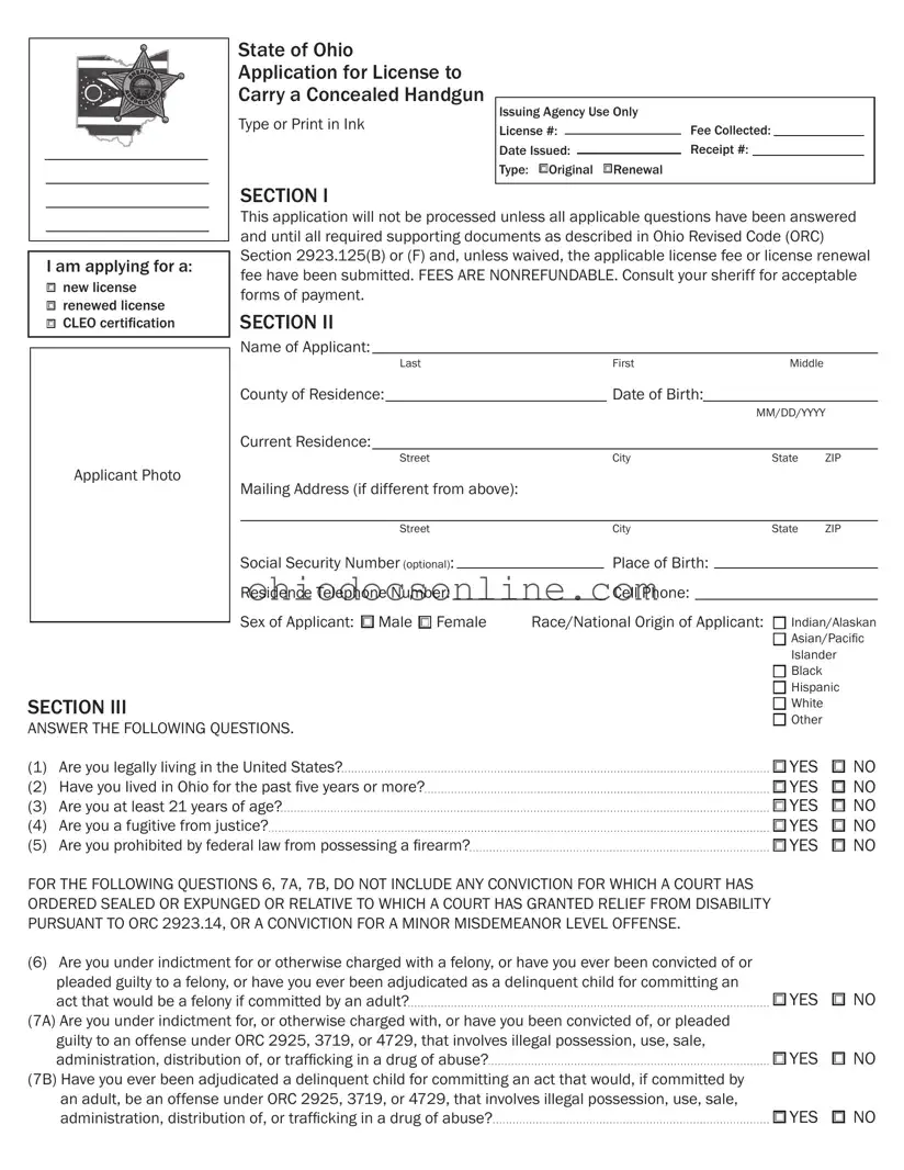 Ohio Application Concealed Template in PDF