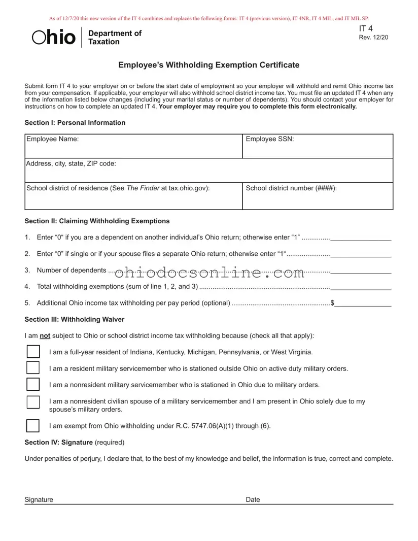 Ohio It 4 Template in PDF
