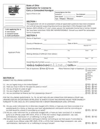 Ohio Application Concealed Template in PDF