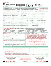 Ohio Sd 100 Template in PDF