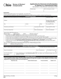 Ohio Si 7 Template in PDF